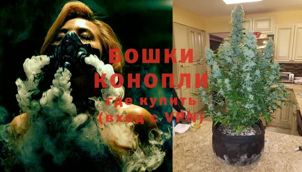 стафф Снежинск