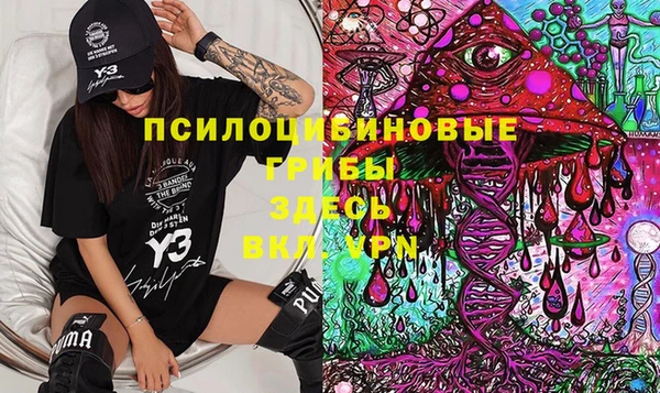 стафф Дмитровск