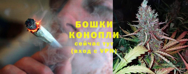 ECSTASY Снежногорск