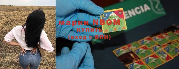 трава Калининец