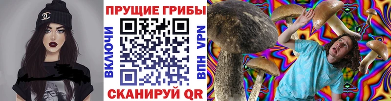 Галлюциногенные грибы Magic Shrooms  Бологое 