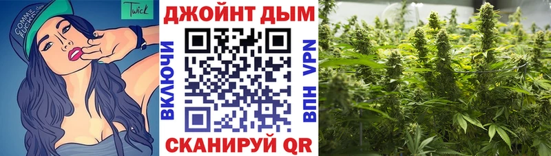 Каннабис Bruce Banner  что такое   Бологое 